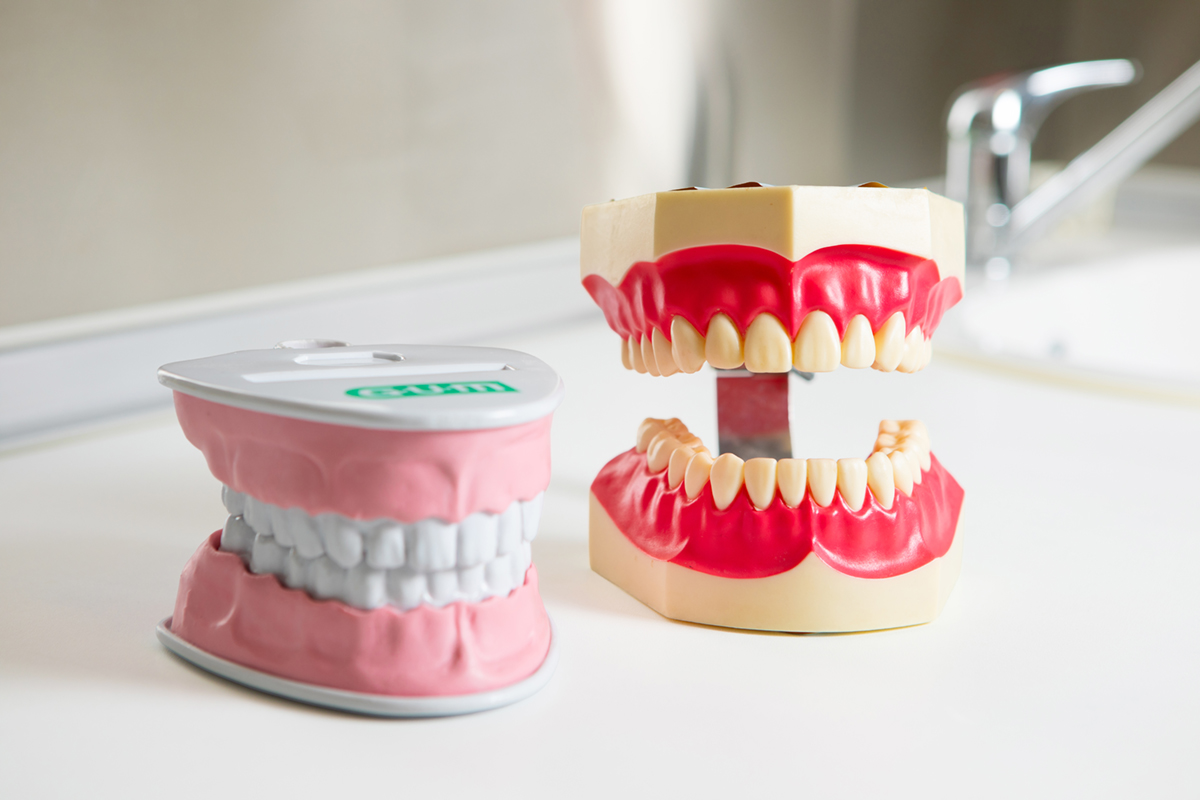 ορθοδοντικη